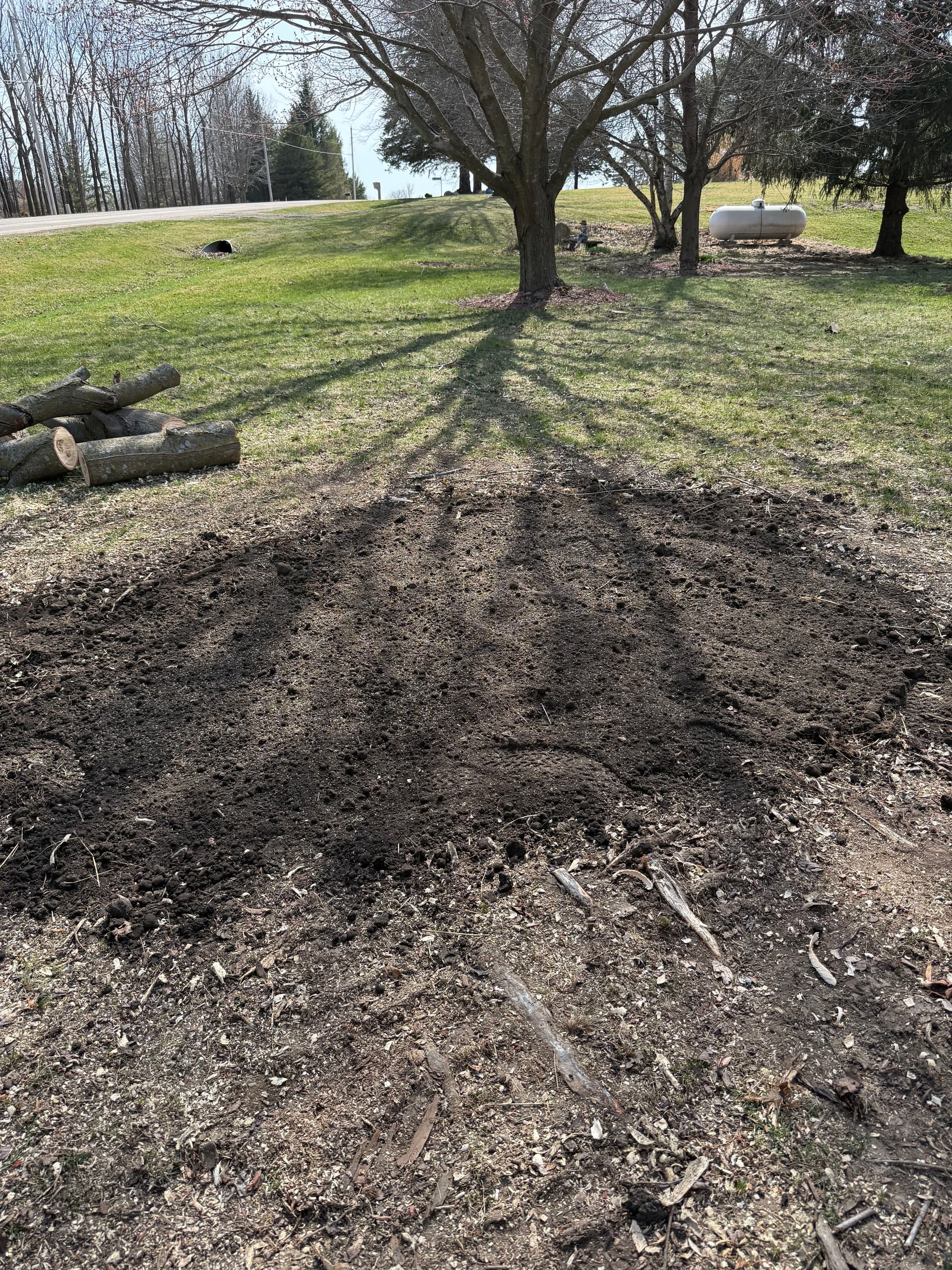 Gallery photos for Stump Grinding That Clears the Way for a Cleaner Yard: Image #1