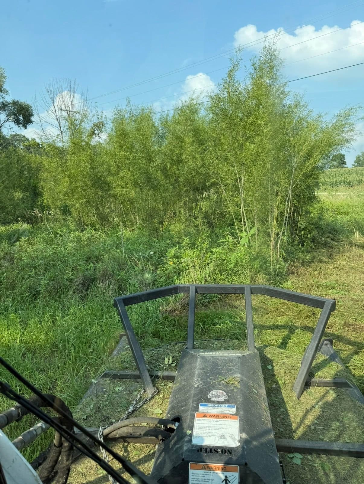 Gallery photos for Mowing Down Overgrown Fields and Dense Brush: Image #1